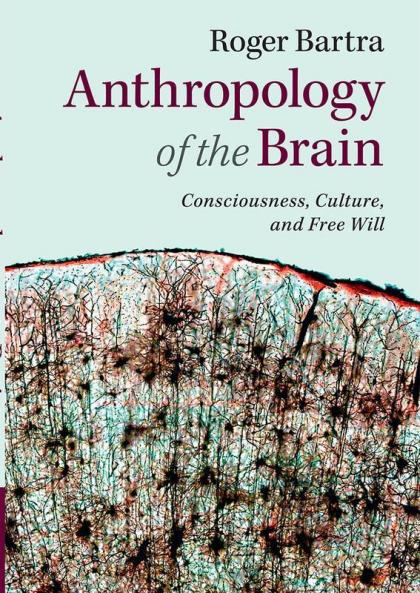 Anthropology of the Brain