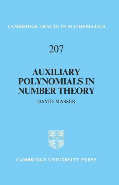 Auxiliary Polynomials in Number Theory