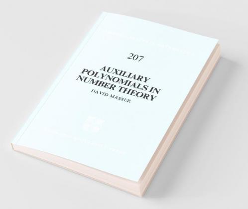 Auxiliary Polynomials in Number Theory