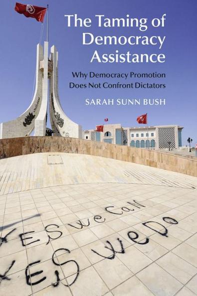 The Taming of Democracy Assistance