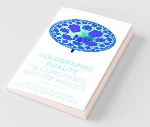 Holographic Duality in Condensed Matter Physics