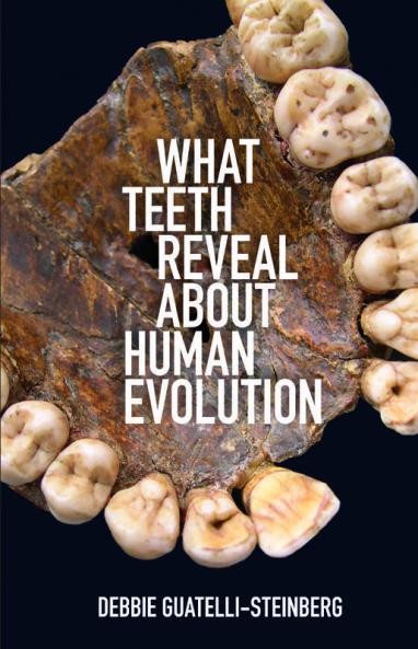 What Teeth Reveal about Human Evolution