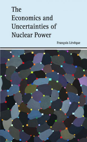 The Economics and Uncertainties of Nuclear Power