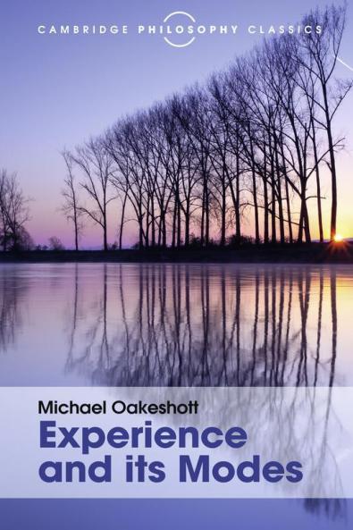 Experience and its Modes