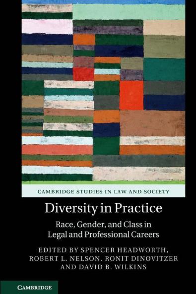 Diversity in Practice