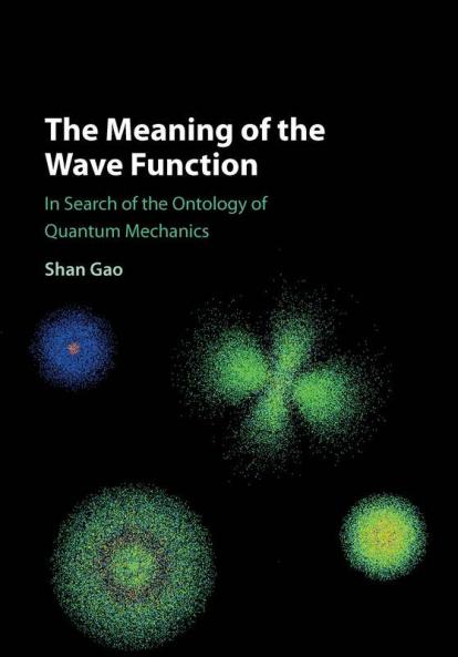 The Meaning of the Wave Function