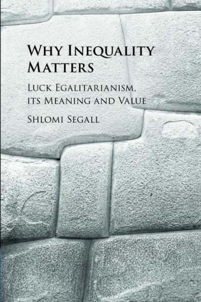 Why Inequality Matters