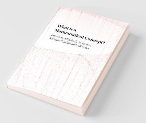 What is a Mathematical Concept?