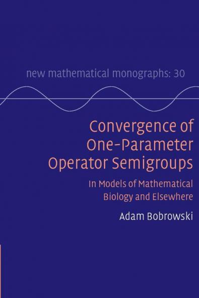 Convergence of One-parameter Operator Semigroups