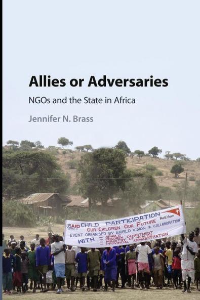 Allies or Adversaries