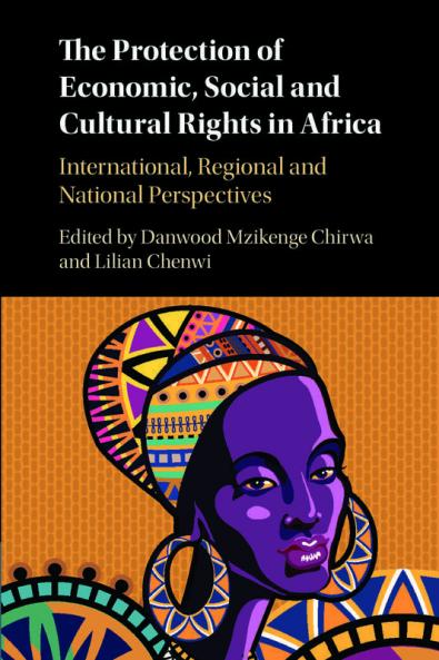 The Protection of Economic Social and Cultural Rights in             Africa