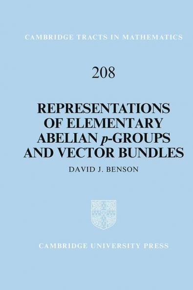 Representations of Elementary Abelian p-Groups and Vector             Bundles