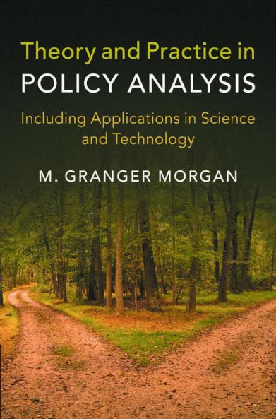 Theory and Practice in Policy Analysis