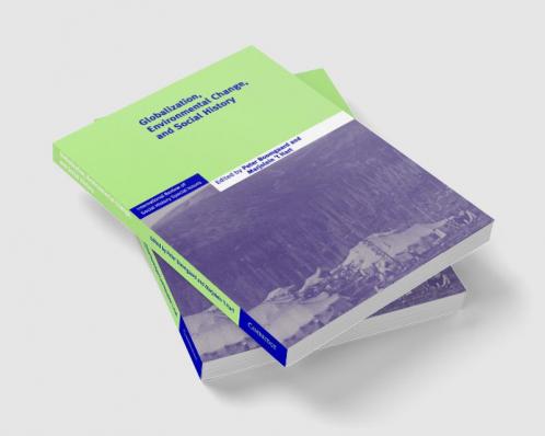 Globalization Environmental Change and Social History