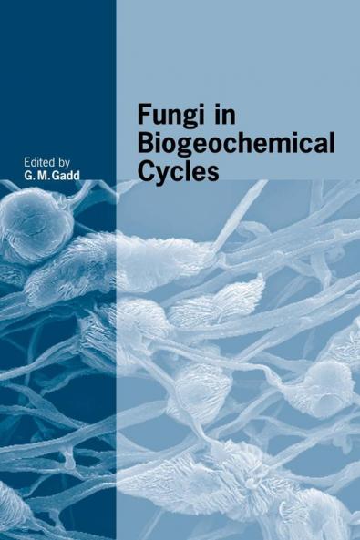 Fungi in Biogeochemical Cycles
