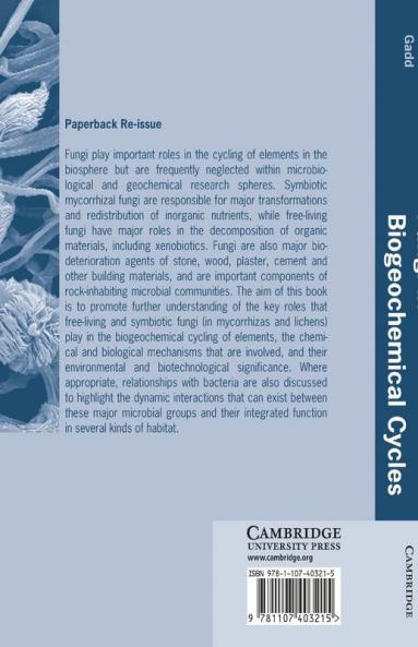Fungi in Biogeochemical Cycles