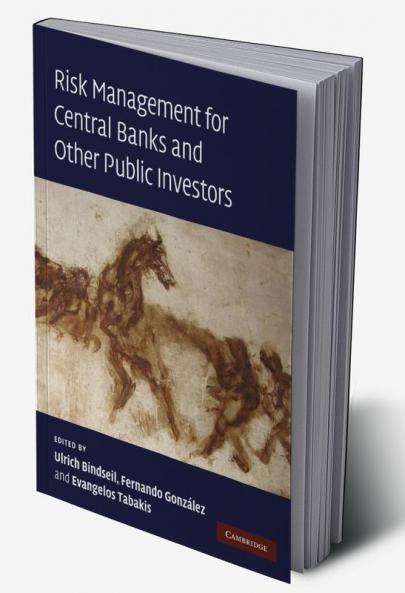 Risk Management for Central Banks and Other Public Investors