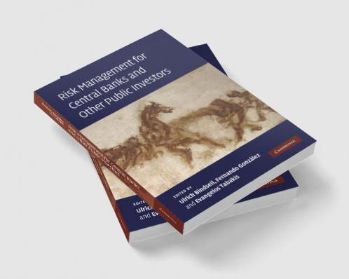 Risk Management for Central Banks and Other Public Investors