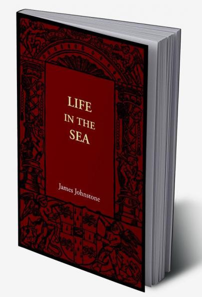 Life in the Sea