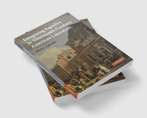 Imagining Equality in Nineteenth-Century American Literature