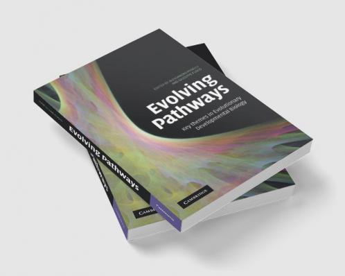 Evolving Pathways