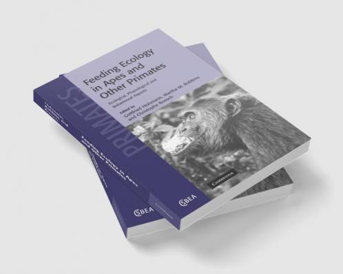Feeding Ecology in Apes and Other Primates