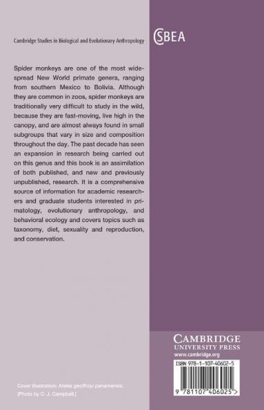 Spider Monkeys