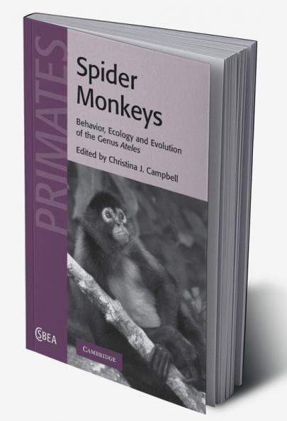 Spider Monkeys