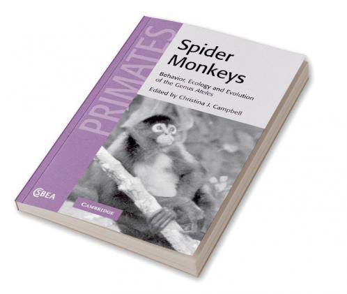 Spider Monkeys