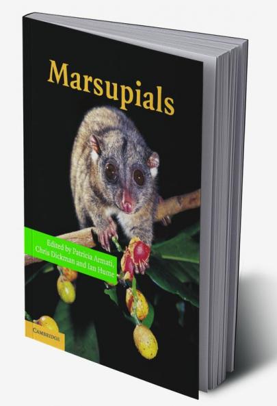 Marsupials
