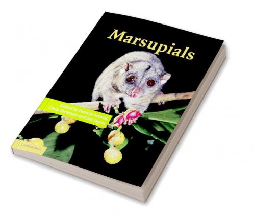 Marsupials