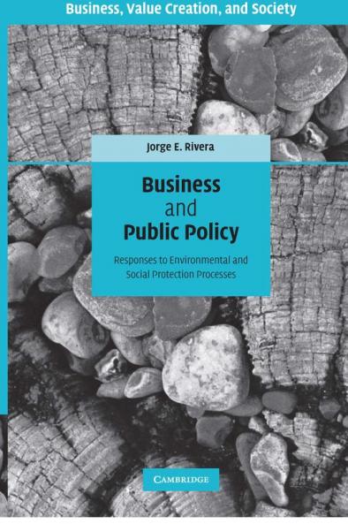 Business and Public Policy