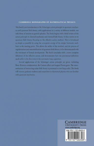 The Schwinger Action Principle and Effective Action