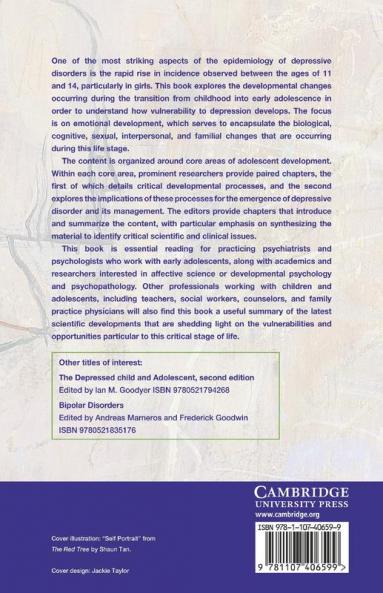 Adolescent Emotional Development and the Emergence of Depressive Disorders