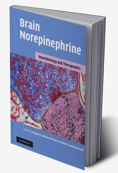 Brain Norepinephrine