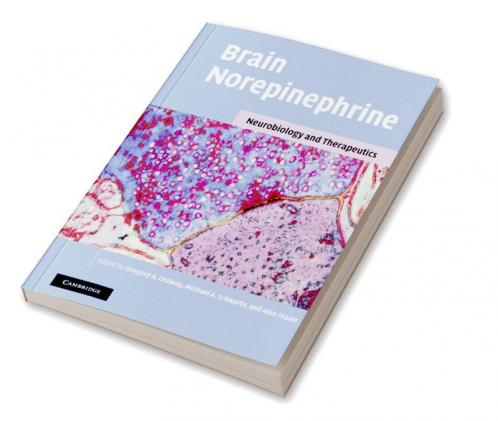 Brain Norepinephrine