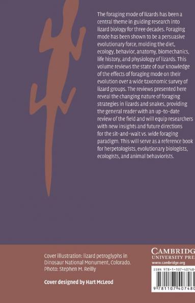 Lizard Ecology