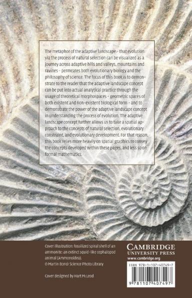 The Geometry of Evolution