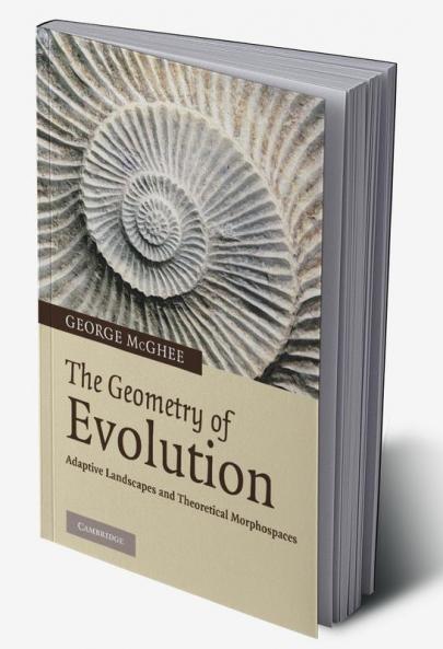 The Geometry of Evolution