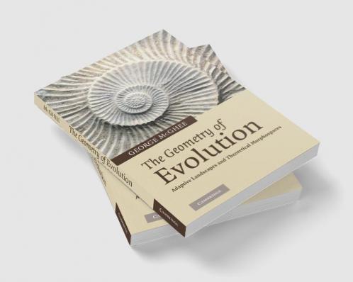 The Geometry of Evolution