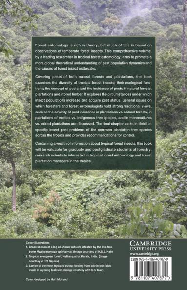 Tropical Forest Insect Pests