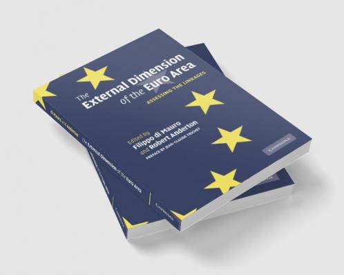 The External Dimension of the Euro Area