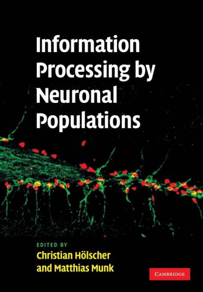 Information Processing by Neuronal Populations