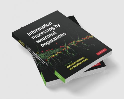 Information Processing by Neuronal Populations