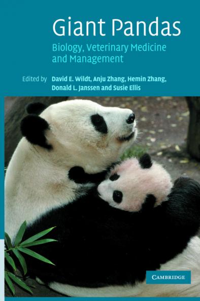 Giant Pandas