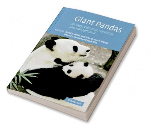 Giant Pandas