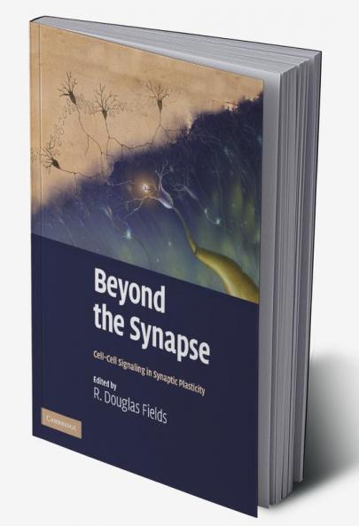 Beyond the Synapse