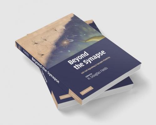 Beyond the Synapse