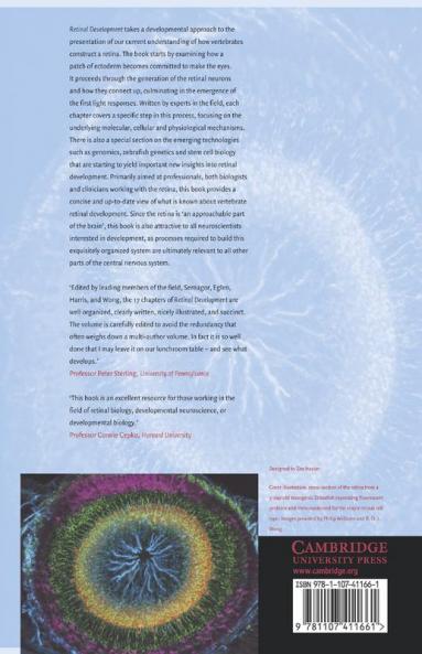 Retinal Development