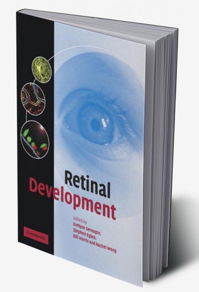 Retinal Development